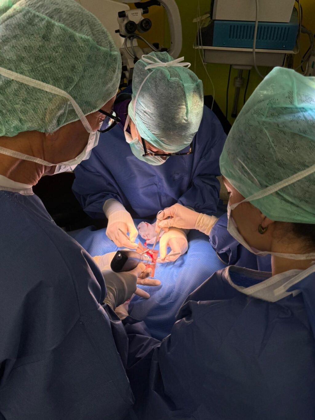 Dr. Veronika Segler bei einer OP